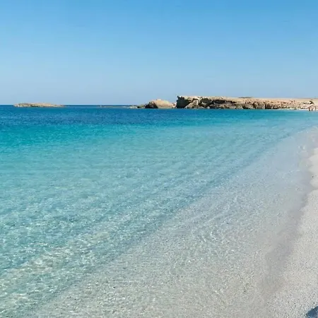 Ray - Front Row Beachfront With Garden דירה *